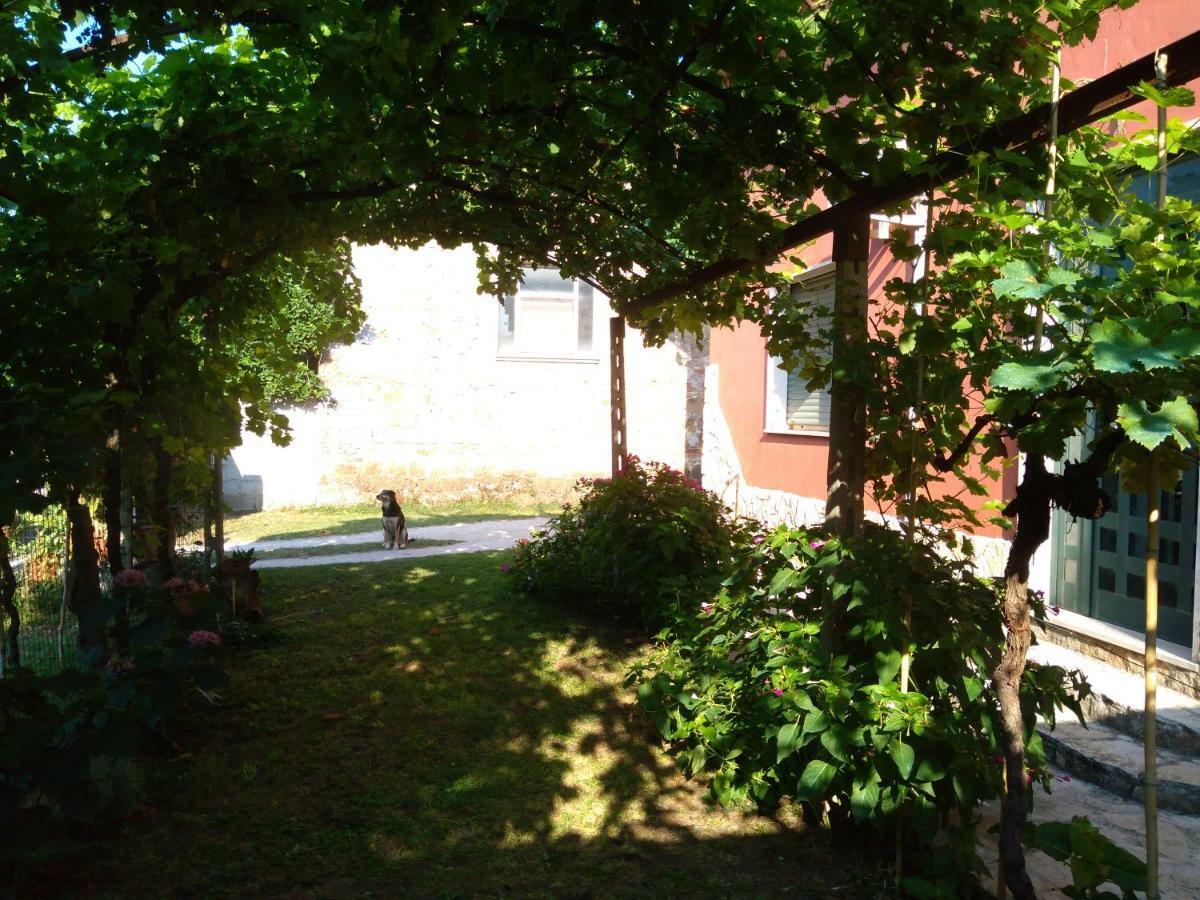 Bella Di Notte Apartment San Giorgio a Liri Luaran gambar